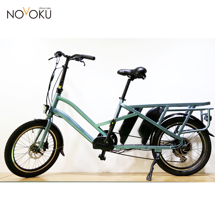 electric travel bike