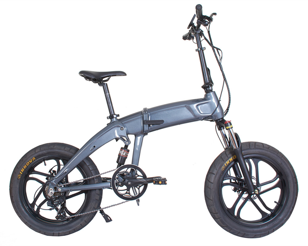 Folding Electric Bike lee9120