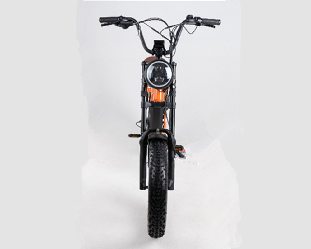 Lee9420 Moped-Style Electric Bike