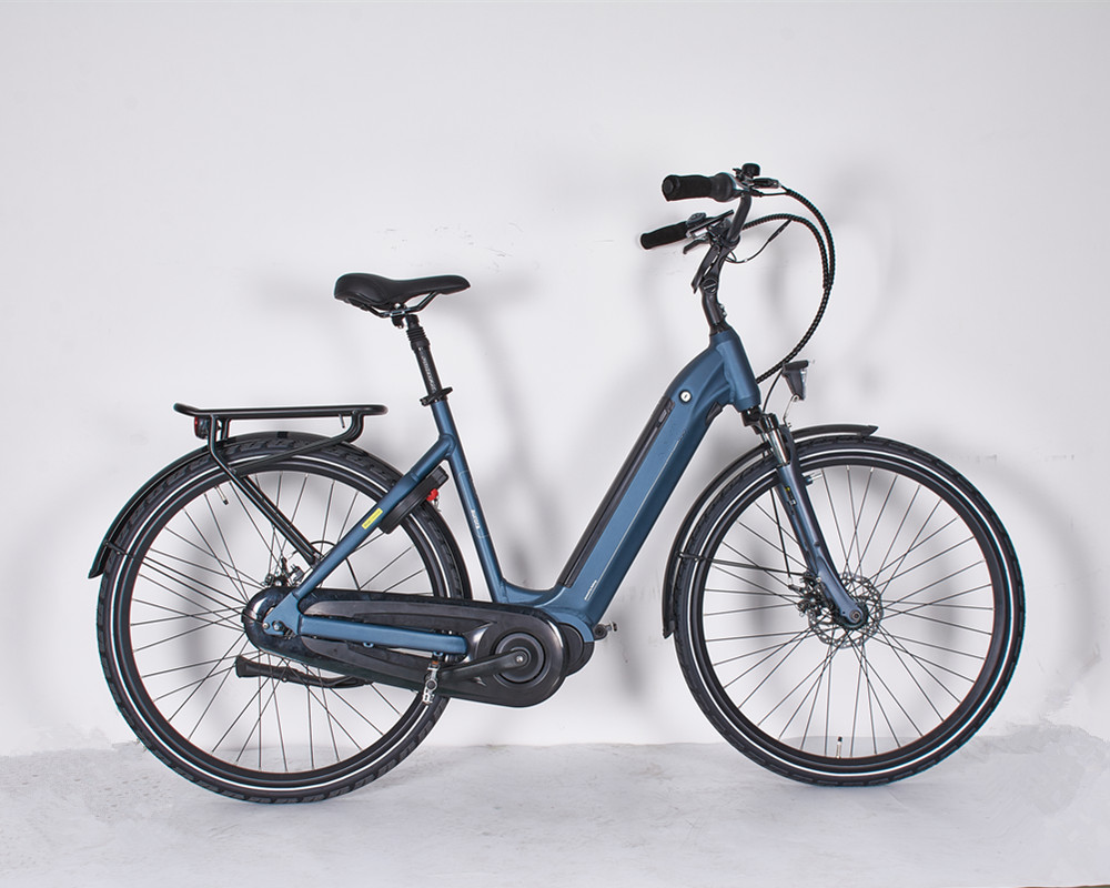 Lee6040 Mid Motor Electric City bike