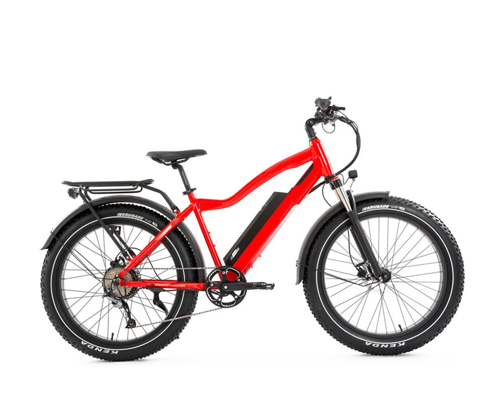 Lee9050 Electric Mountain Bike Fat Tire High Power Motor