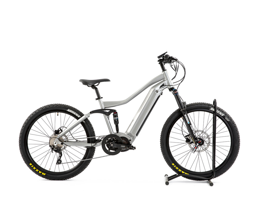 electric travel bike