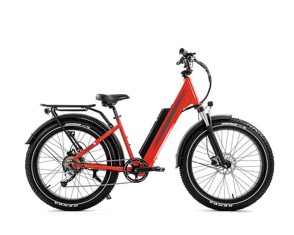 Lee9060 Fat Mountain Electric Bike