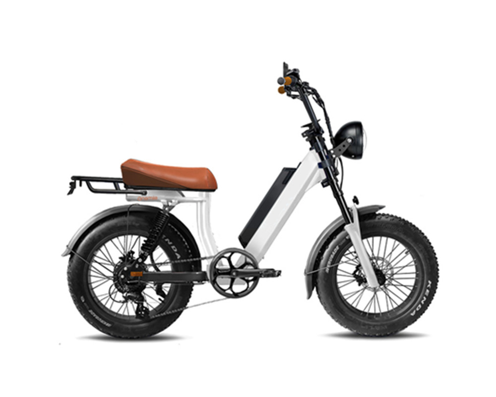 Moped style Fat Tire Electric bike lee9400