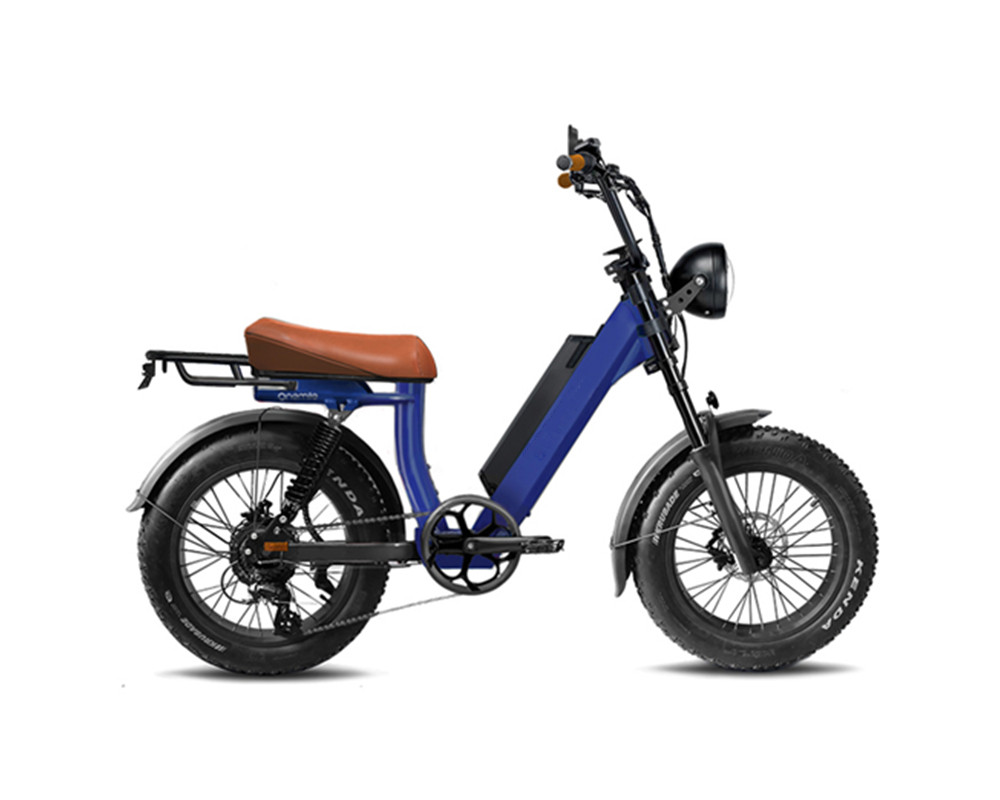 Moped style Fat Tire Electric bike lee9400