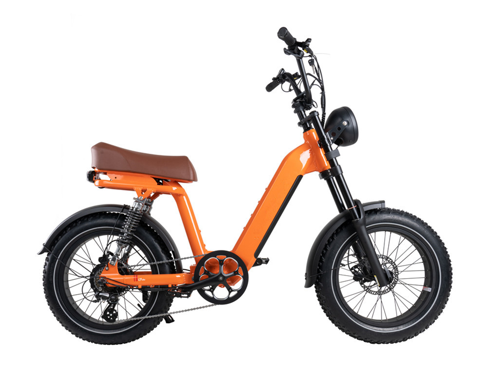 Lee9420 Moped-Style Electric Bike