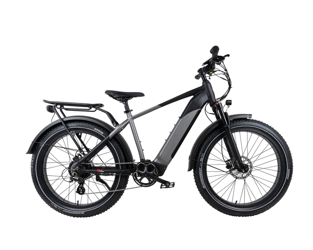 Fat Tire Snow Beach Electric Mountain Bike lee9030