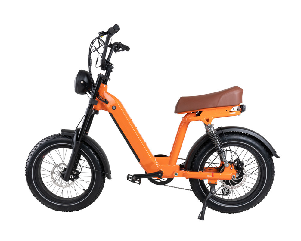 Lee9420 Moped-Style Electric Bike