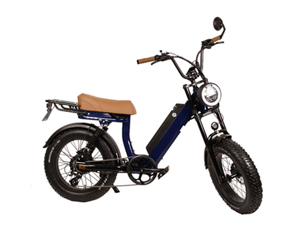 utility e-bikes electric moped bikes fat tire electric bike Lee9400