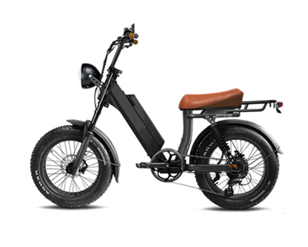utility e-bikes electric moped bikes fat tire electric bike Lee9400