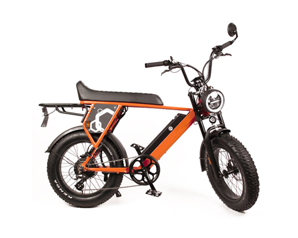 Super Electric Motorbike scrambler type ebike utility fat tire e bike speed Lee9410-1