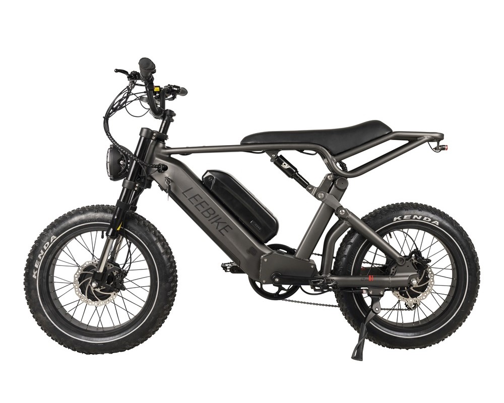 Dual Motor Dual Battery Fat Tire Electric Bike Lee953