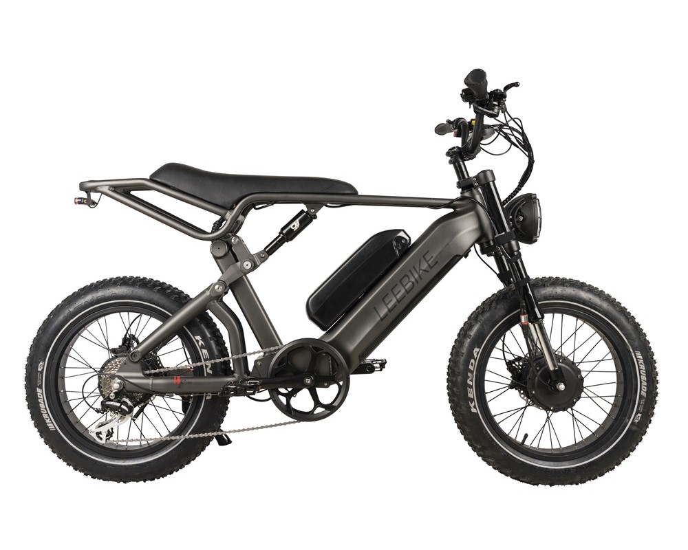 Dual Motor Dual Battery Fat Tire Electric Bike Lee953