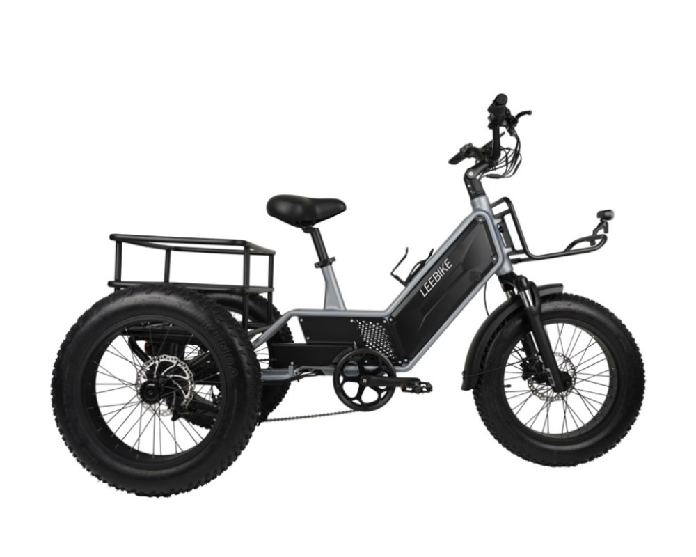 3 Wheel Hidden Battery Electric Trike LEE992